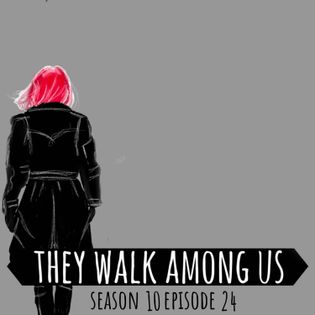 Missed Warnings / The Crimes Of Joseph McCann - Part